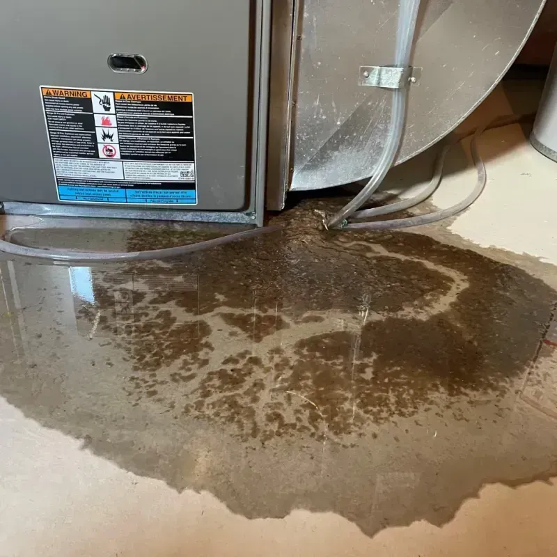 Appliance Leak Cleanup in Addison, TX